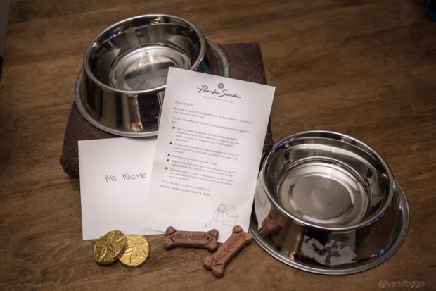 VanDoggo-Pacific-Sands-Dog-Welcome Package