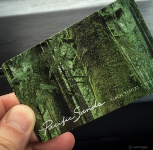 VanDoggo-Pacific-Sands-