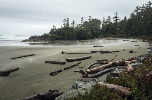 Tofino VanDoggo Cox Bay Beach View 02