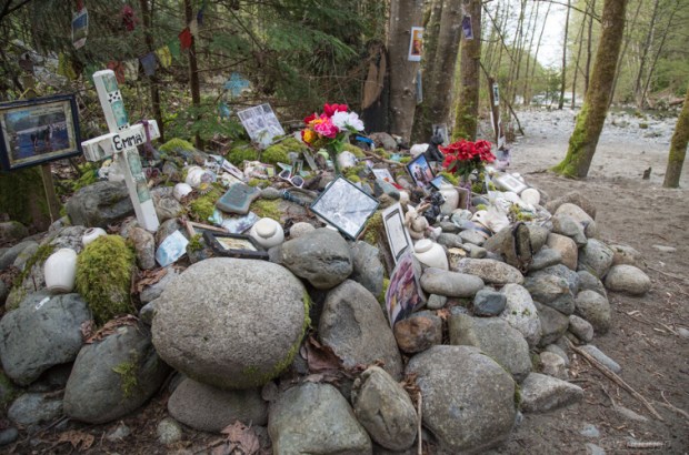 Vandoggo-Dog-Tikka-5622