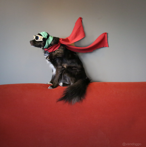 VanDoggo Tikka Snoopy 01-