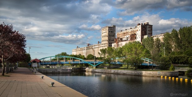 VanDoggo Tikka Montreal Travel