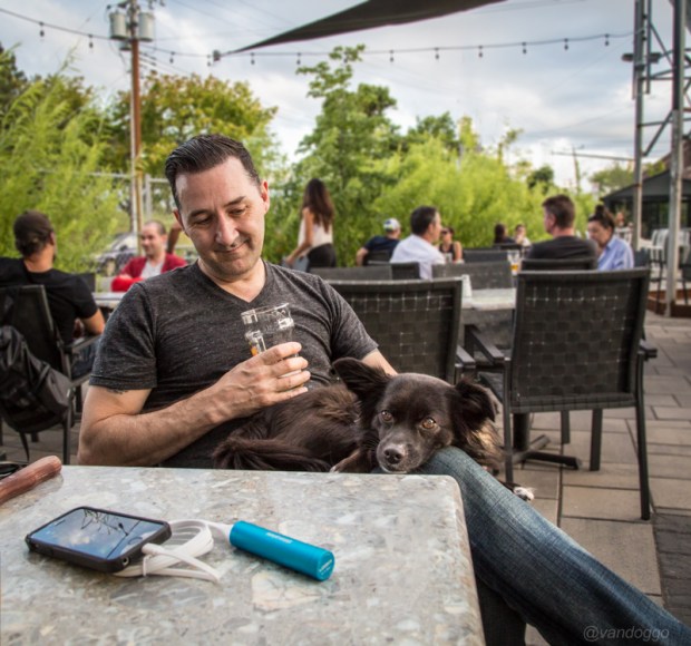 VanDoggo Tikka Montreal Travel