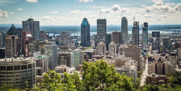 Tikka Vandoggo Montreal Lookout 01-1