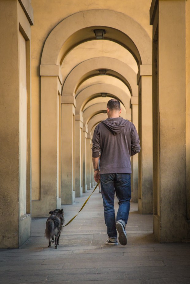 Tikka Vandoggo Dog Florence -10.jpg