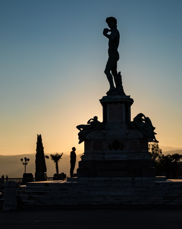 Tikka Vandoggo Dog Florence -5.jpg