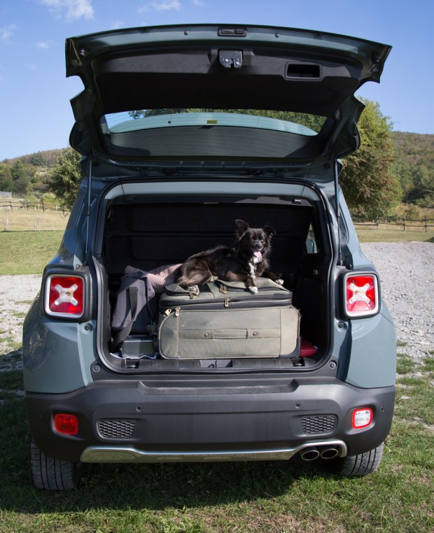 tikka-vandoggo-dog-travel-austria-11-1