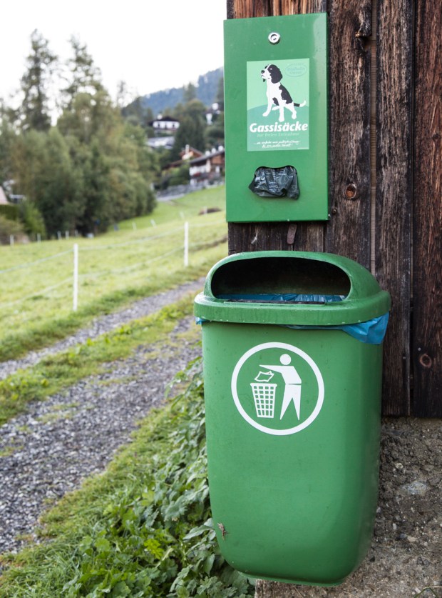 Dog travel in Europe