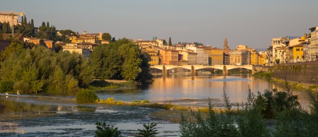 vandoggo in Florence-1.JPG