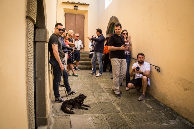 VanDoggo Tikka Chianti-15.JPG