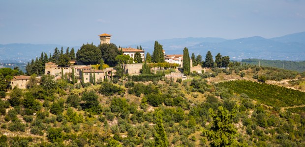 VanDoggo Tikka Chianti-8.JPG