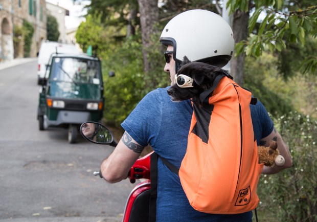 VanDoggo Tikka Dog Vespa-2.JPG