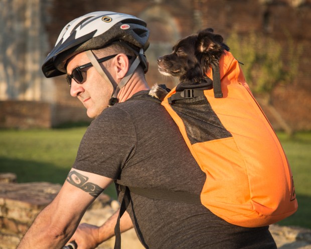 VanDoggo Tikka San Galgano-10.JPG