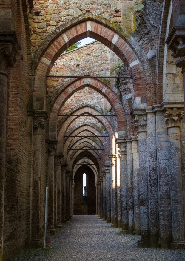 VanDoggo Tikka San Galgano-5.JPG