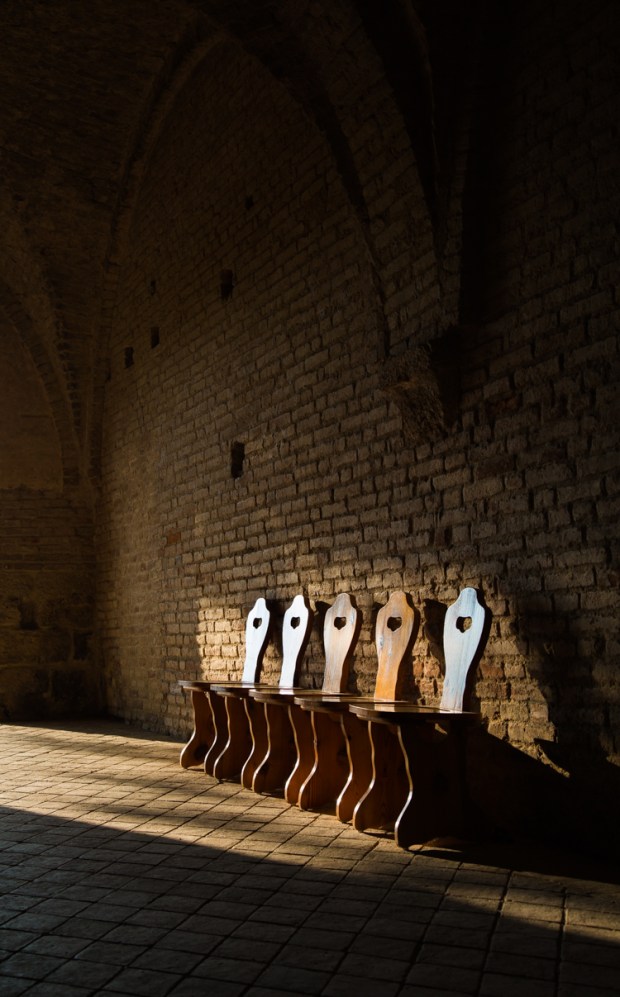 VanDoggo Tikka San Galgano-6.JPG