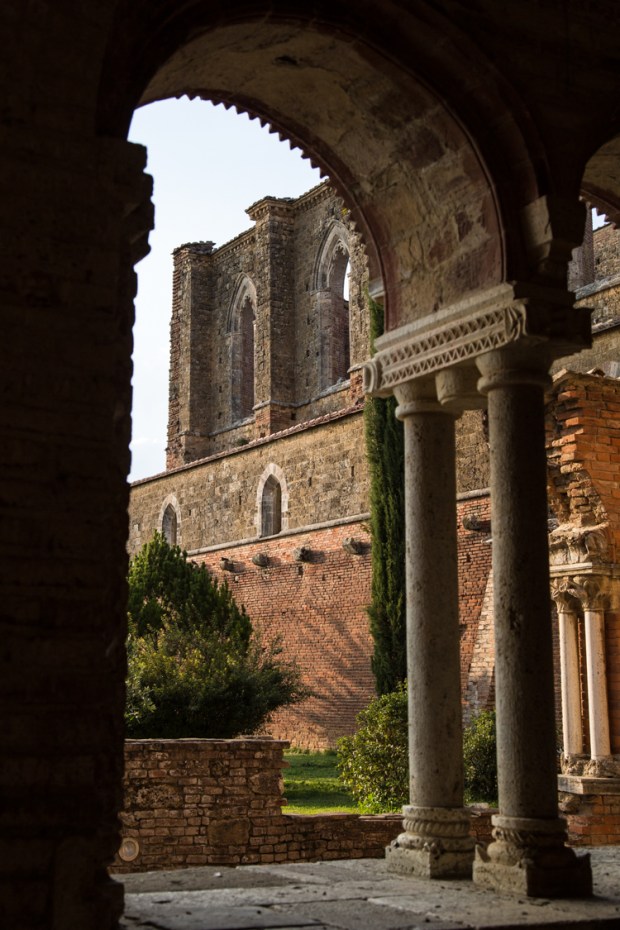 VanDoggo Tikka San Galgano-7.JPG