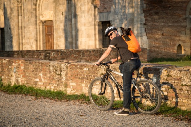 VanDoggo Tikka San Galgano-9.JPG