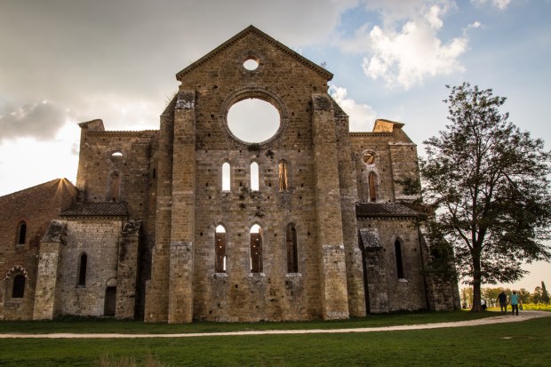 VanDoggo Tikka San Galgano01-1.JPG