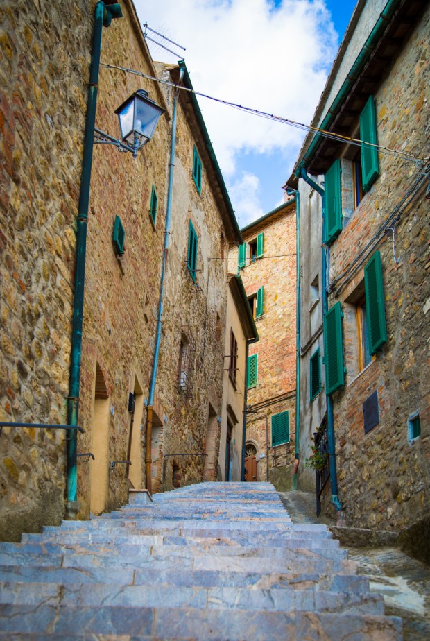 VanDoggo Tikka Dog Chiusdino-5.JPG