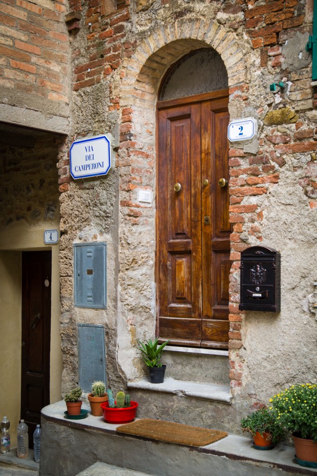 VanDoggo Tikka Dog Chiusdino-8.JPG