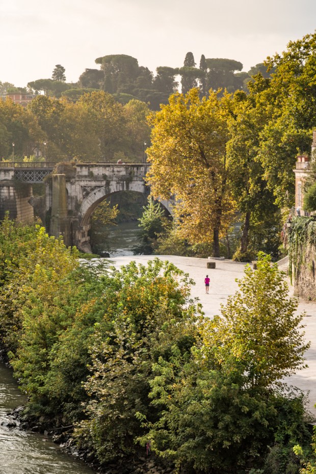 vandoggo-dog-travel-rome-tiber-river