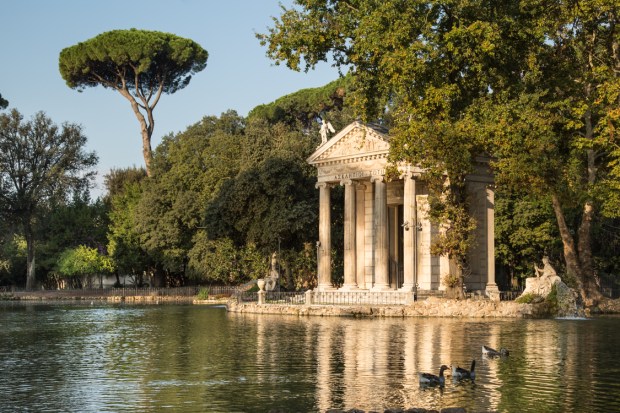 vanDoggo Tikka Dog Travel Rome 31-2.JPG