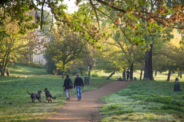 vanDoggo Tikka Dog Travel Rome 31-3.JPG