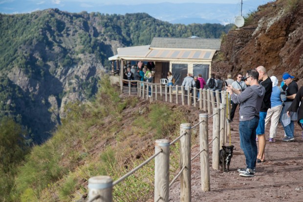 VanDoggo Dog Travel Italy-2.JPG