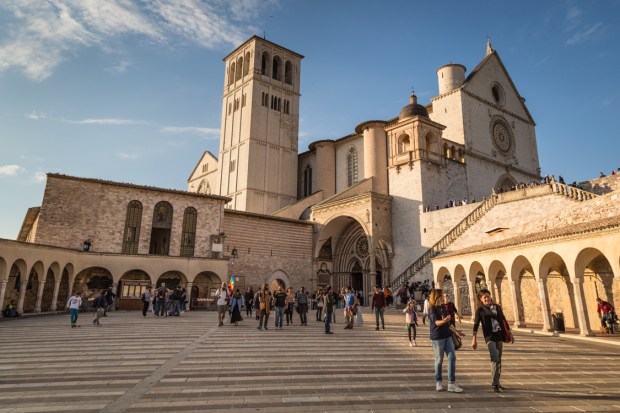 vanDoggo Tikka Italy Assisi-12.JPG