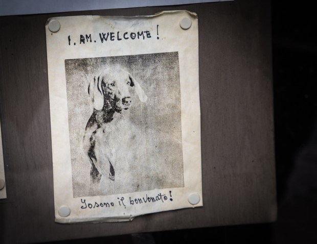 vanDoggo Tikka Italy Assisi-14.JPG