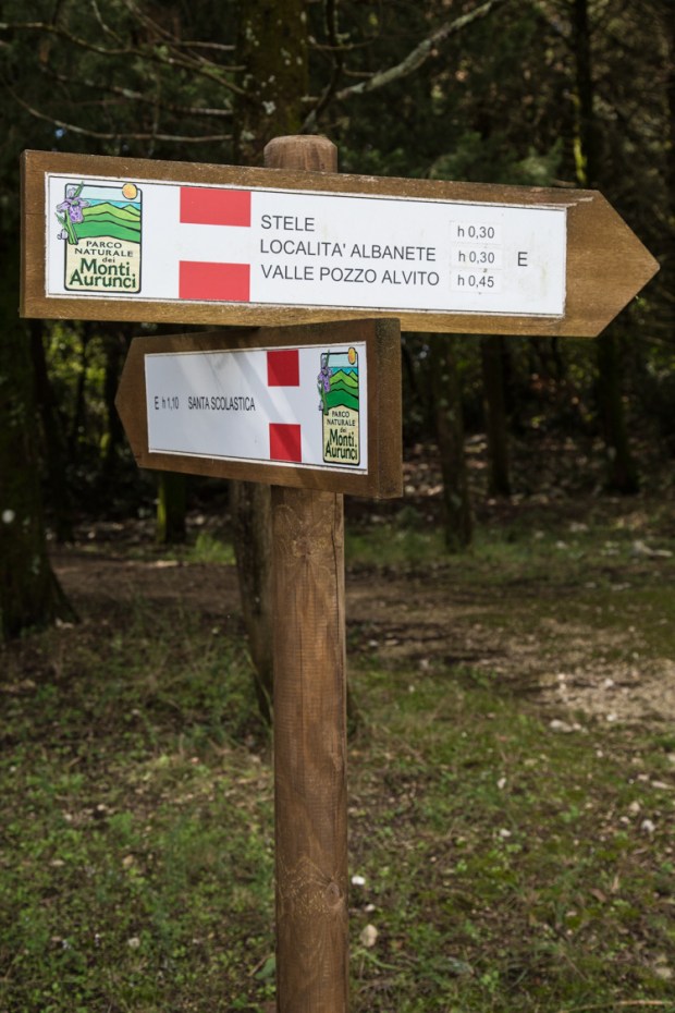 vanDoggo Tikka Italy Assisi-7.JPG