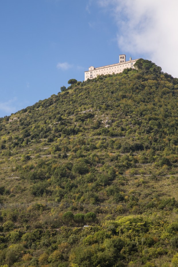 vanDoggo Tikka Italy Assisi.JPG