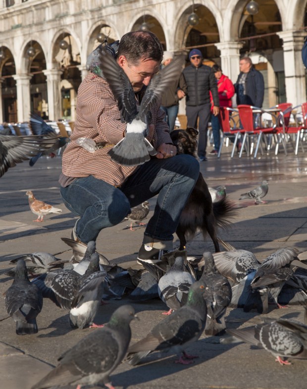 Tikka Venice Dog Travel-25.JPG